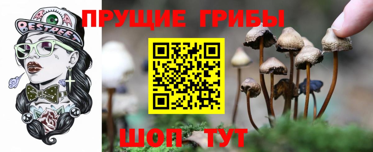 Псилоцибиновые грибы MAGIC MUSHROOMS  Вход с VPN  Псилоцибиновые грибы мухоморы  Ставрополь 