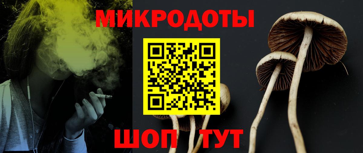 Галлюциногенные грибы мухоморы Ставрополь